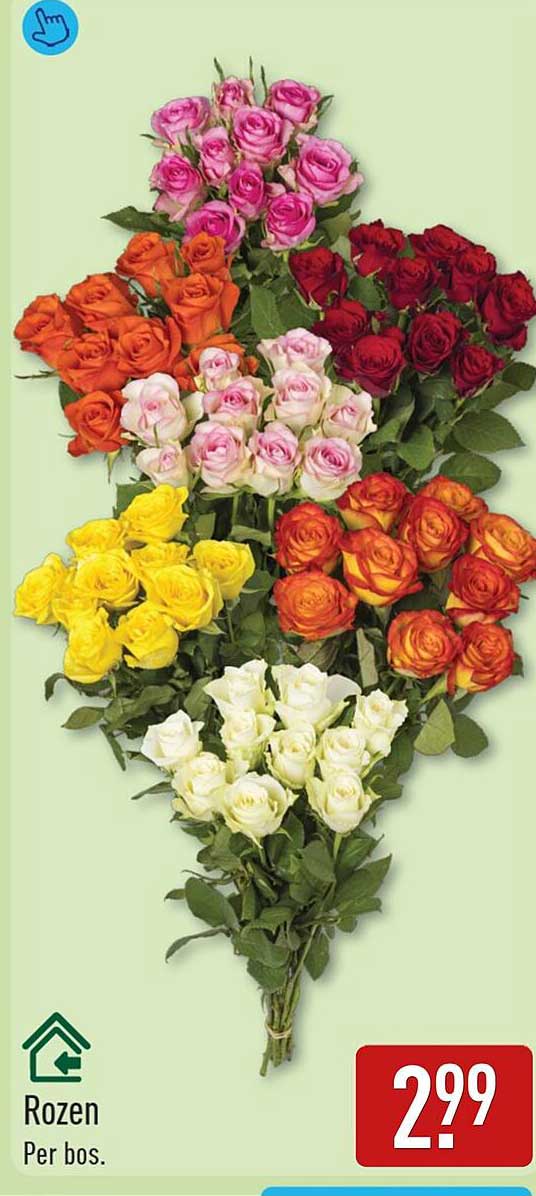 Rozen