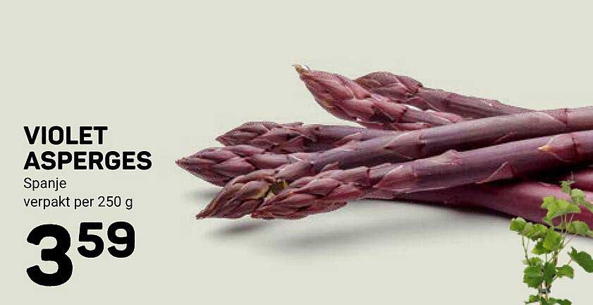VIOLET ASPERGES
