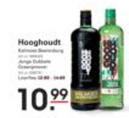 Hooghoudt