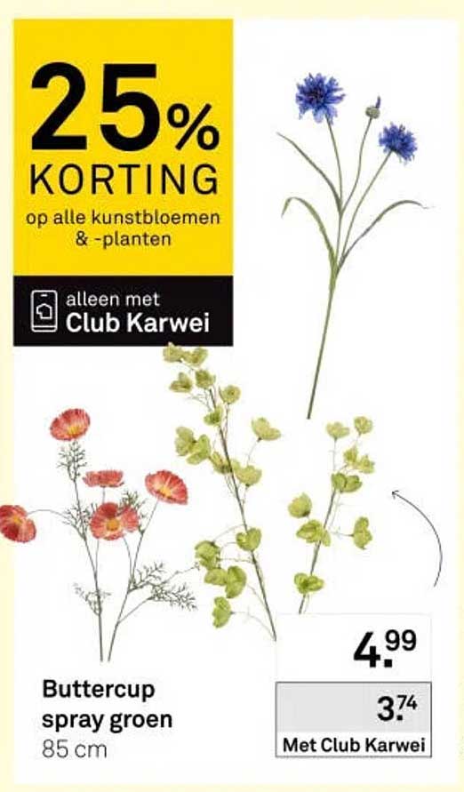 25% KORTING op alle kunstbloemen & -planten alleen met Club Karwei