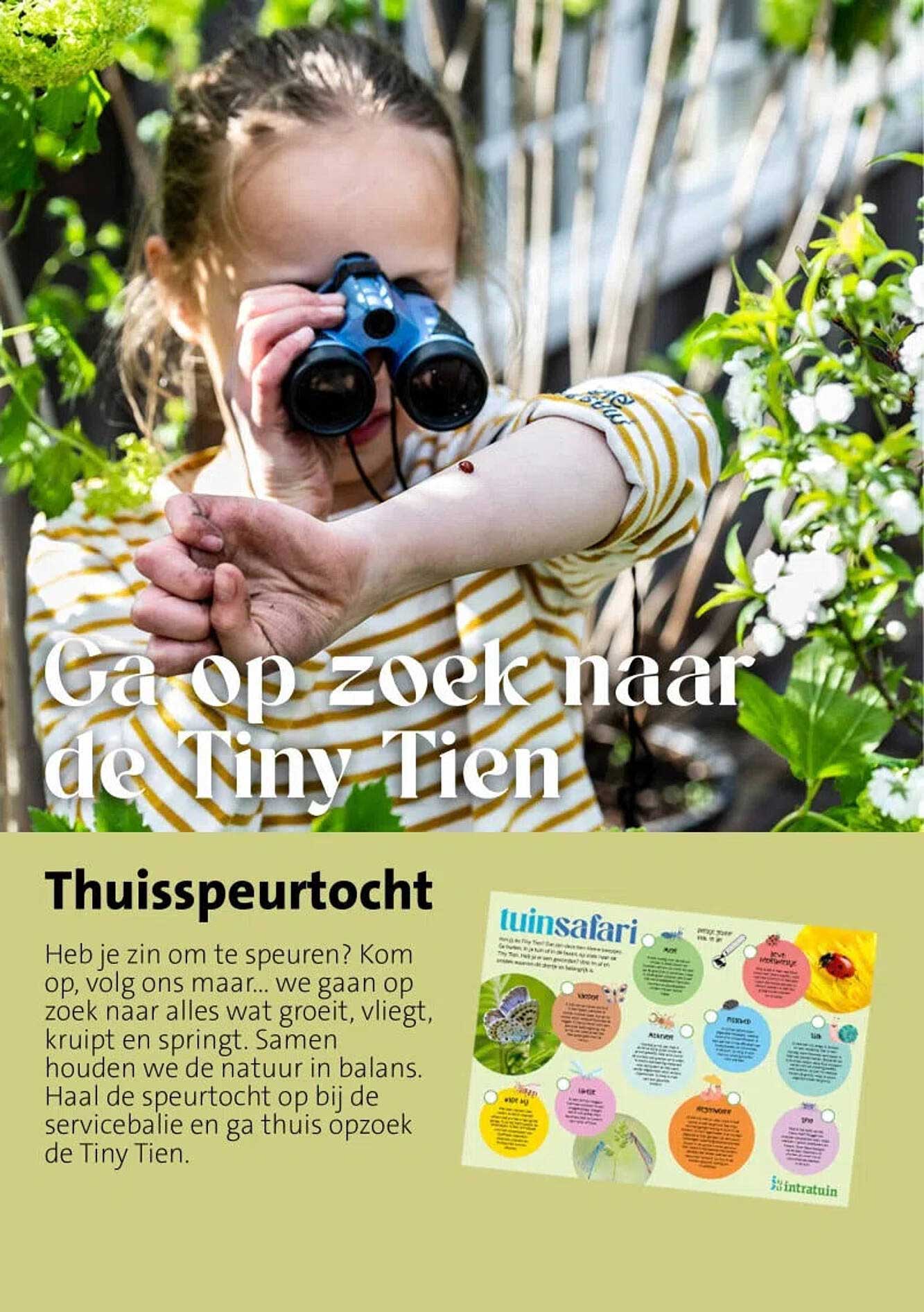 Ga op zoek naar de Tiny Tien