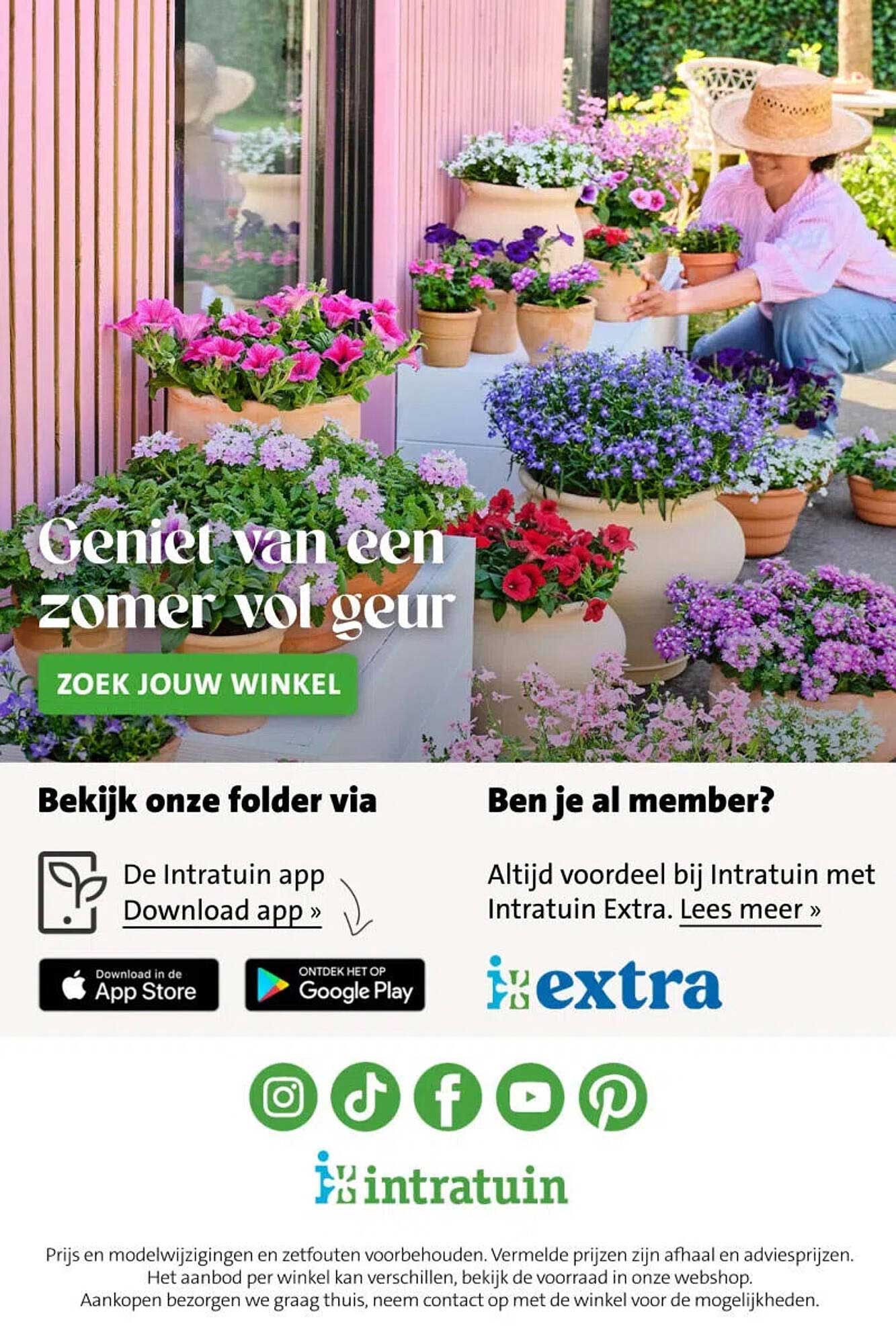Geniet van een zomer vol geur