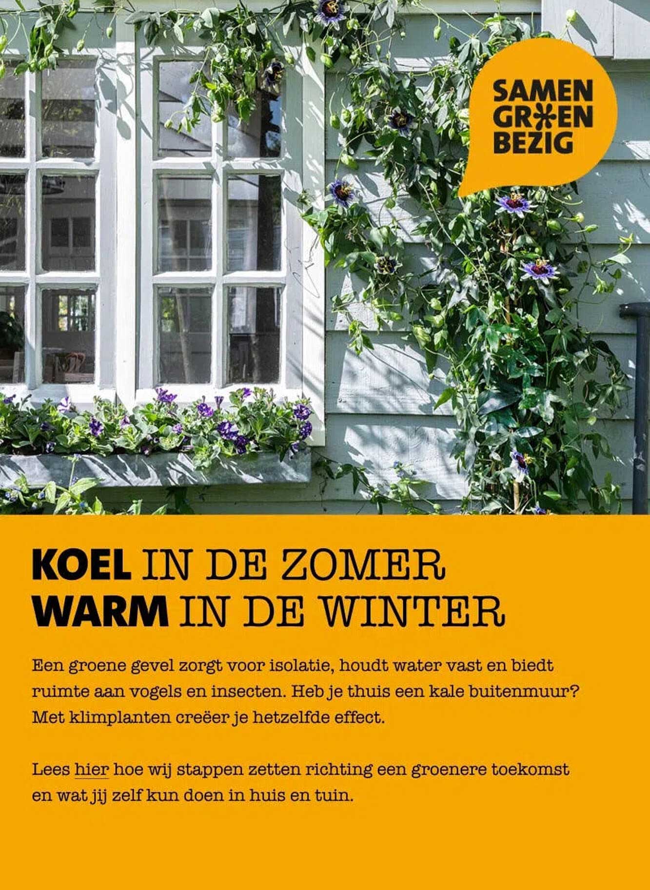 KOEL IN DE ZOMER WARM IN DE WINTER