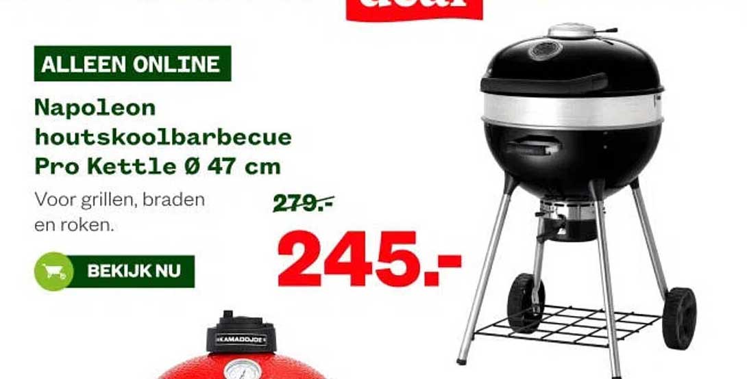Napoleon houtskoolbarbecue Pro Kettle Ø 47 cm