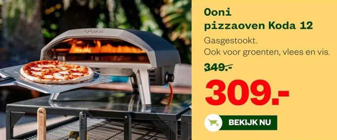Ooni pizzaoven Koda 12