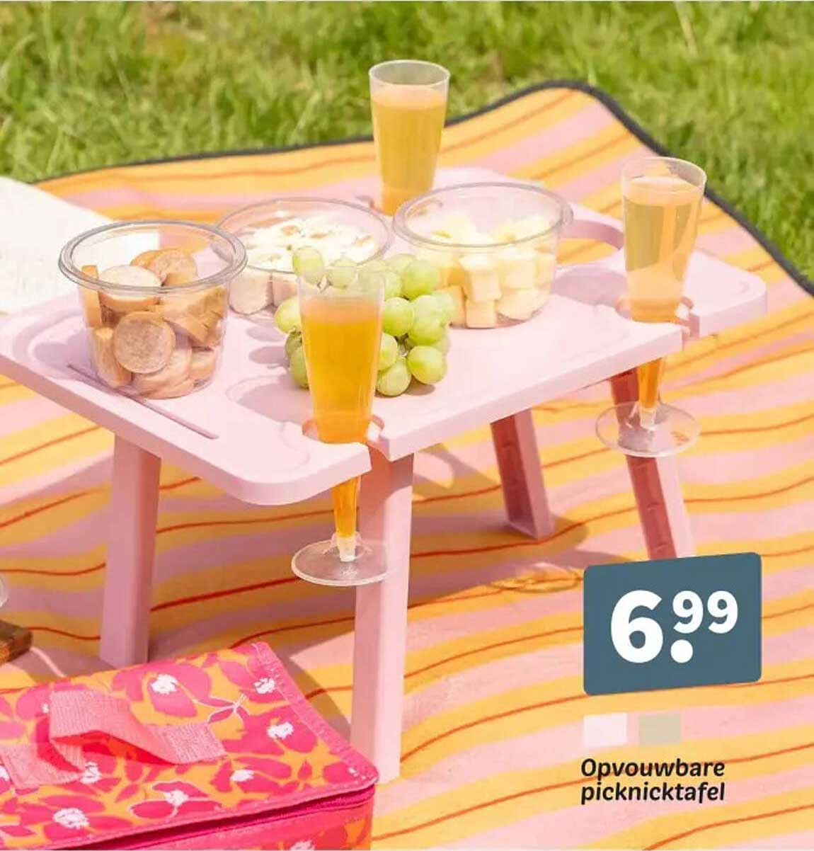 Opvouwbare picknicktafel