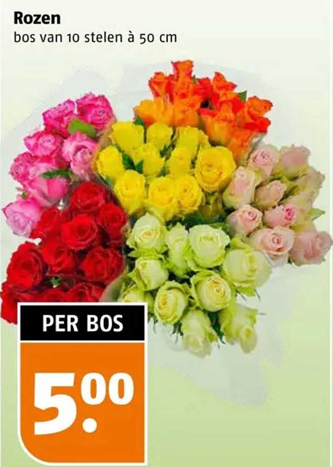 Rozen bos van 10 stelen à 50 cm