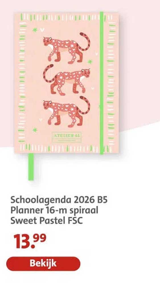 Schoolagenda 2026 B5 Planner 16-m spiraal Sweet Pastel FSC