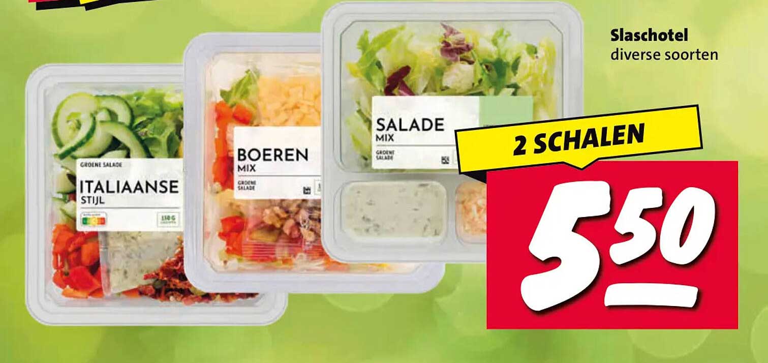 Slaschotel diverse soorten 2 SCHALEN