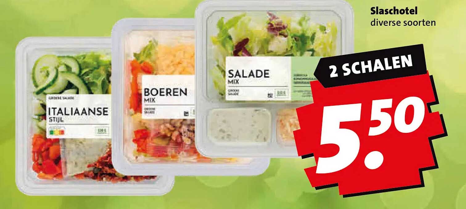 Slaschotel diverse soorten 2 schalen