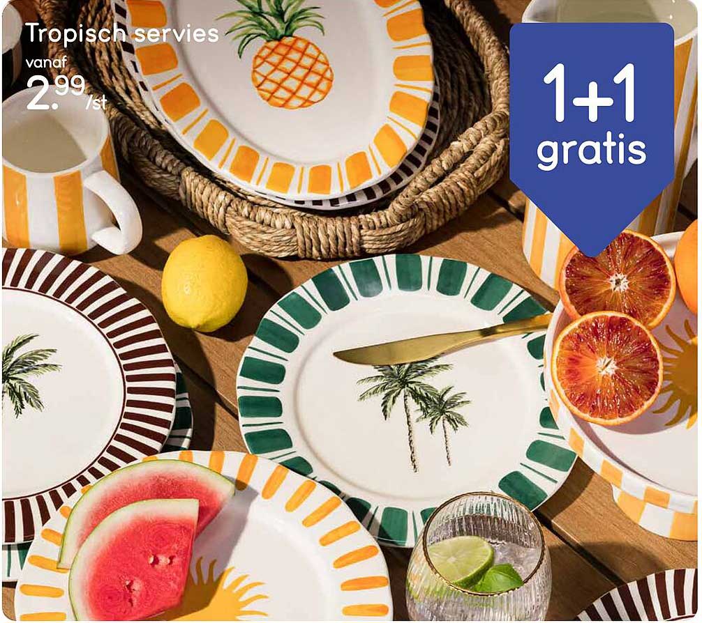 Tropisch servies 1+1 gratis