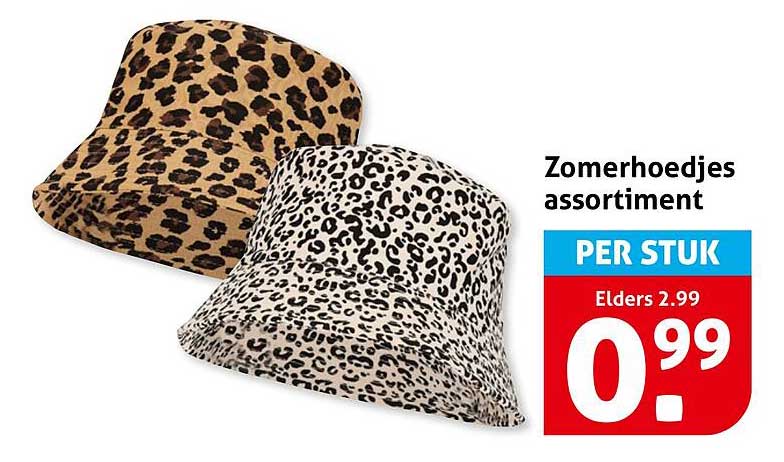 Zomerhoedjes assortiment