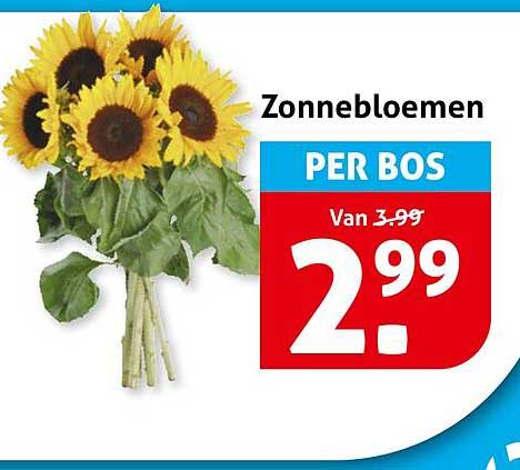 Zonnebloemen PER BOS