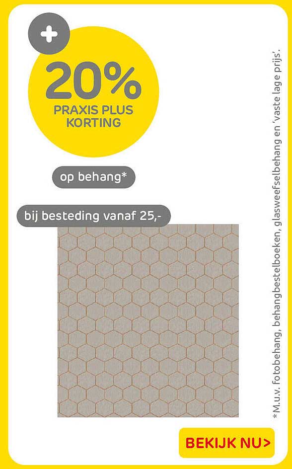 20% PRAXIS PLUS KORTING op behang* bij besteding vanaf 25,-