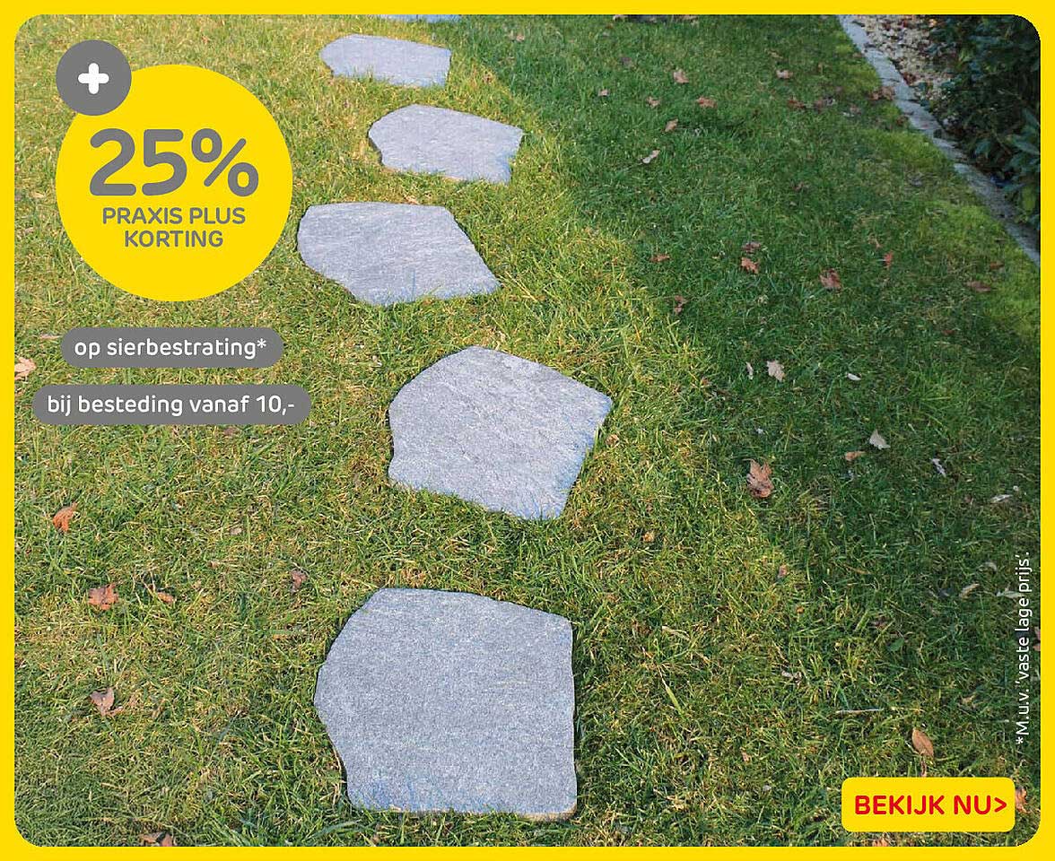 25% Praxis Plus korting op sierbestrating* bij besteding vanaf 10,-