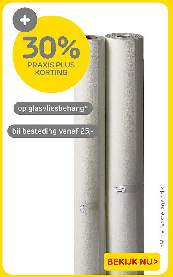 30% Praxis Plus korting op glasvliesbehang* bij besteding vanaf 25,-