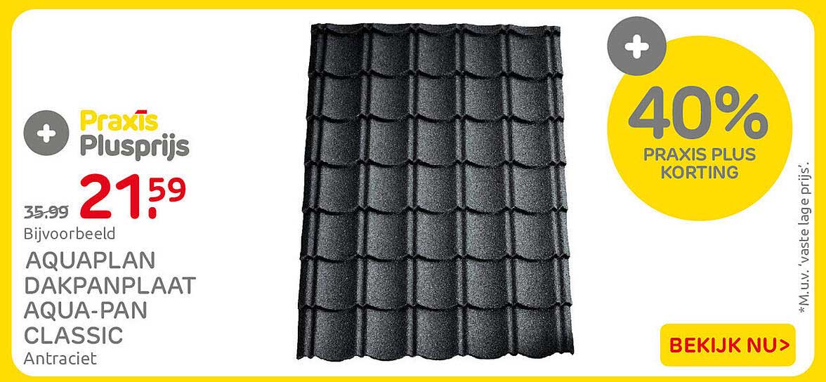 Aquaplan dakpanplaat Aqua-Pan Classic Antraciet + 40% Praxis Plus korting