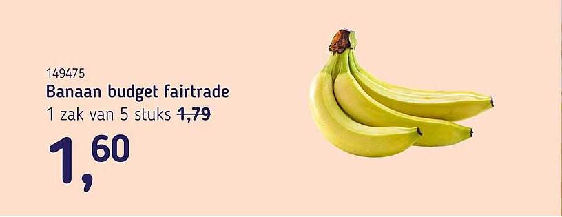 Banaan budget fairtrade