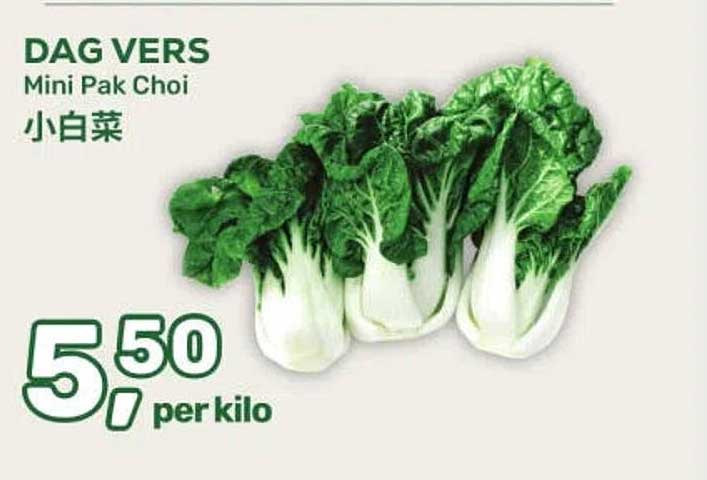 DAG VERS Mini Pak Choi 小白菜