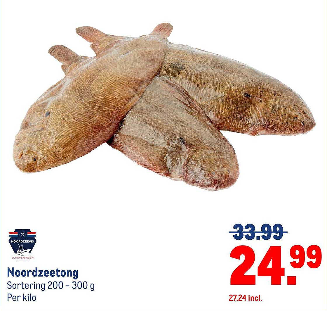 Noordzeetong Sortering 200 - 300 g Per kilo