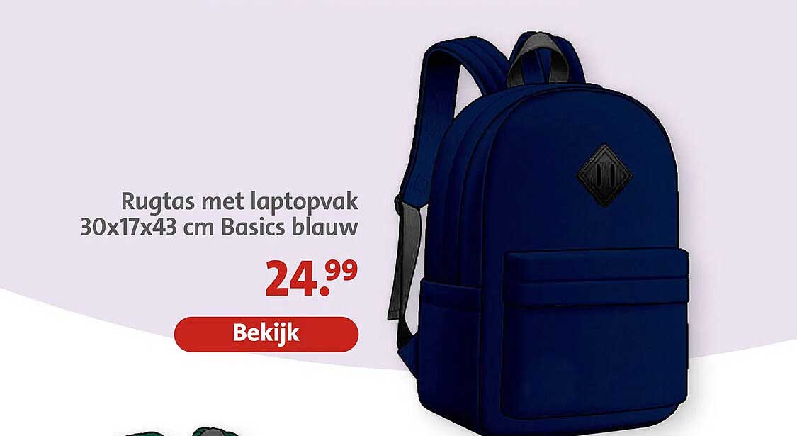 Rugtas met laptopvak 30x17x43 cm Basics blauw