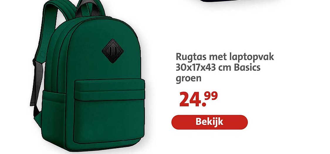 Rugtas met laptopvak 30x17x43 cm Basics groen