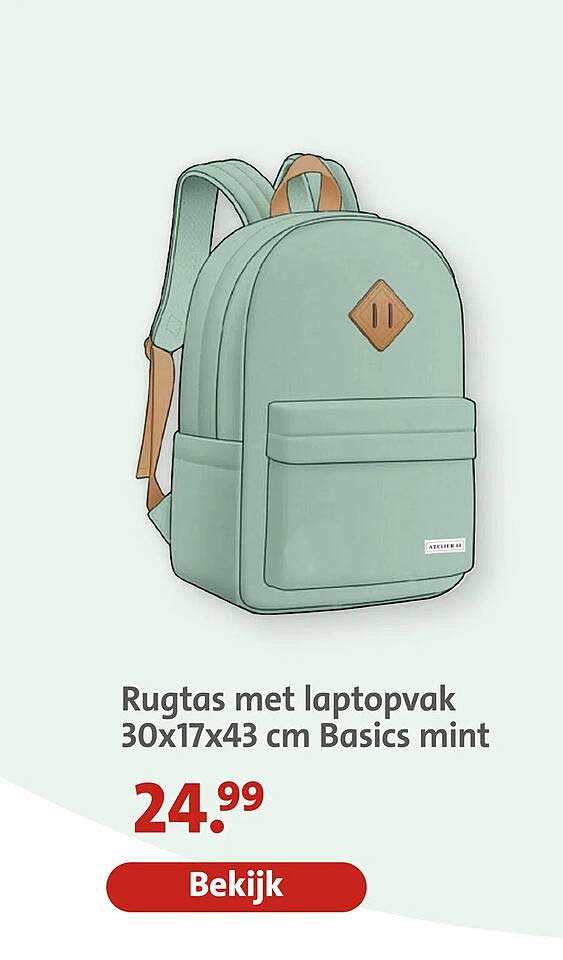 Rugtas met laptopvak 30x17x43 cm Basics mint