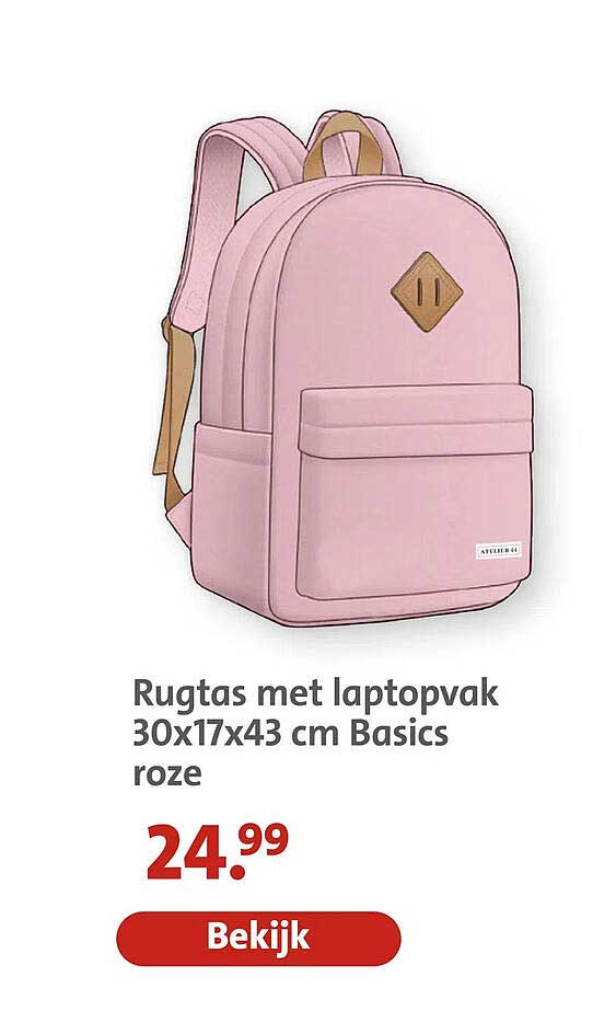 Rugtas met laptopvak 30x17x43 cm Basics roze