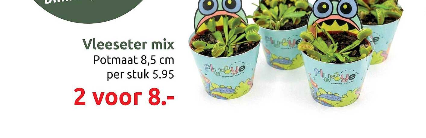 Vleeseter mix Potmaat 8,5 cm per stuk 5.95 2 voor 8.-