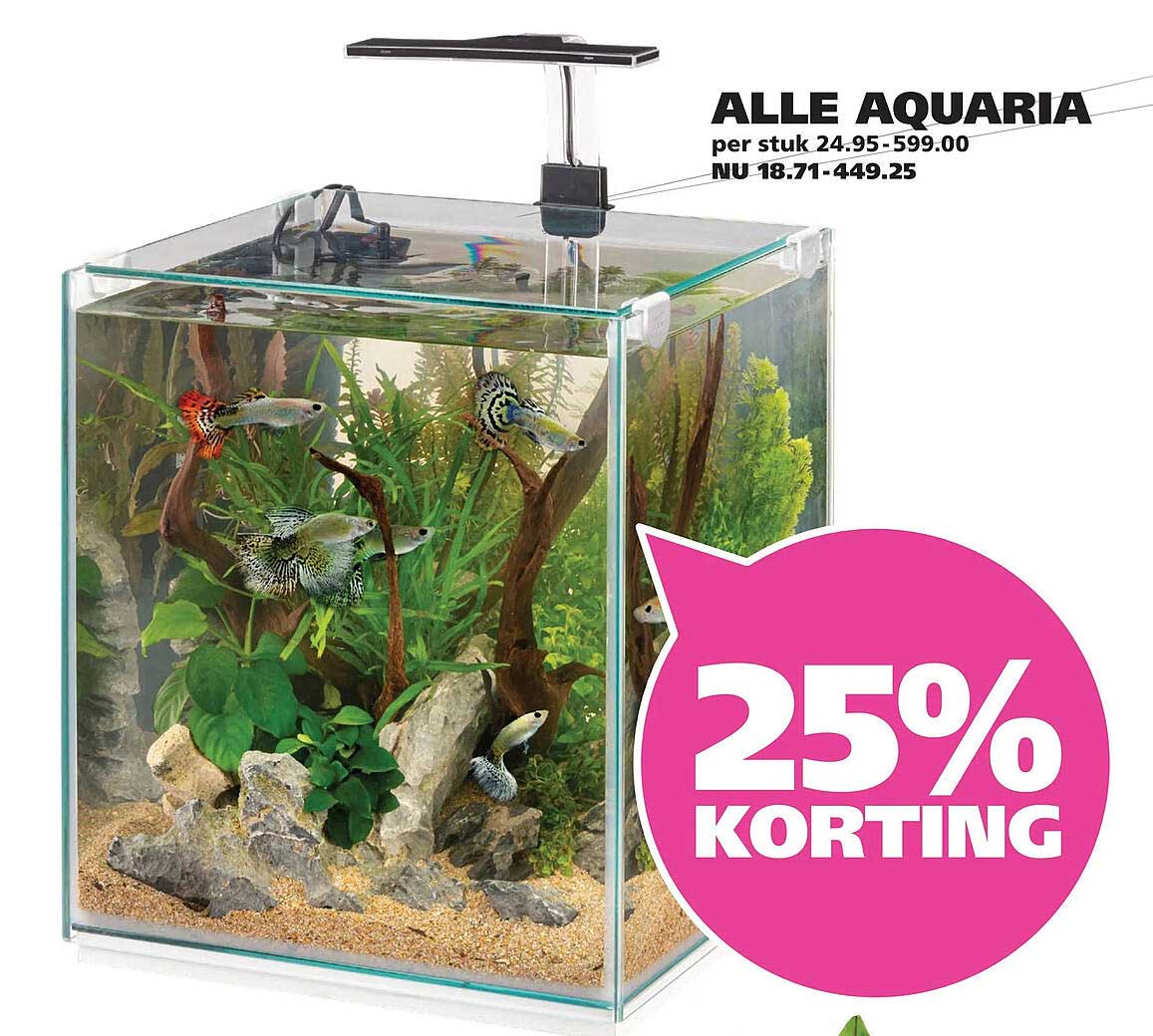 ALLE AQUARIA