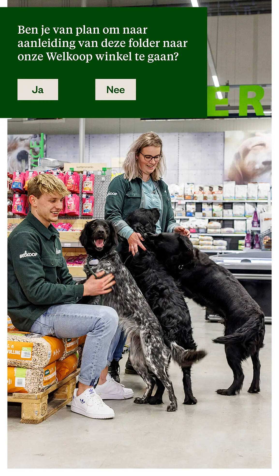 Ben je van plan om naar aanleiding van deze folder naar onze Welkoop winkel te gaan?