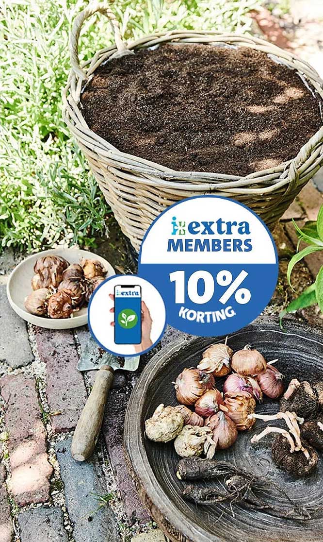 extra MEMBERS 10% KORTING