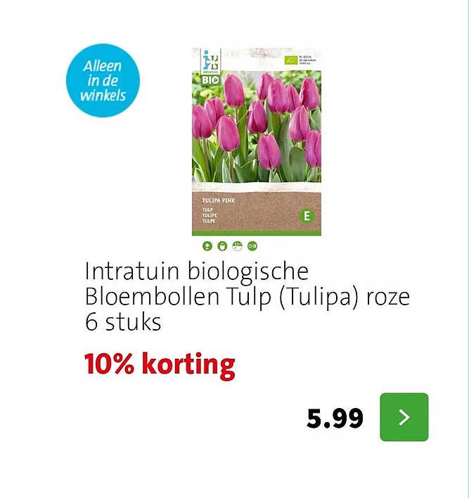 Intratuin biologische Bloembollen Tulp (Tulipa) roze 6 stuks 10% korting