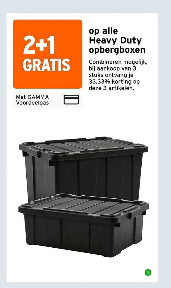 op alle Heavy Duty opbergboxen 2+1 GRATIS