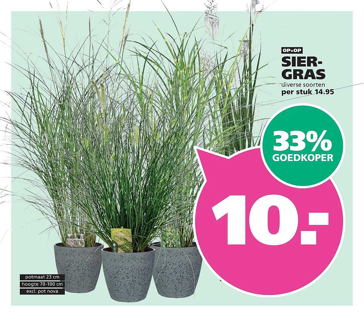 OP=OP SIER-GRAS diverse soorten per stuk 14.95 33% GOEDKOPER