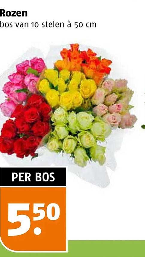 Rozen bos van 10 stelen à 50 cm