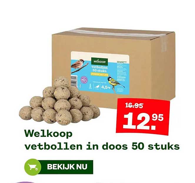 Welkoop vetbollen in doos 50 stuks