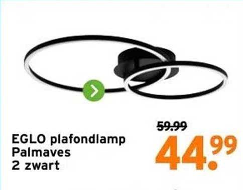 Eglo Plafondlamp Palmaves 2 Zwart aanbieding bij GAMMA