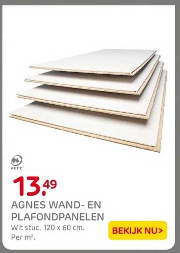 AGNES WAND- EN PLAFOND PANELEN