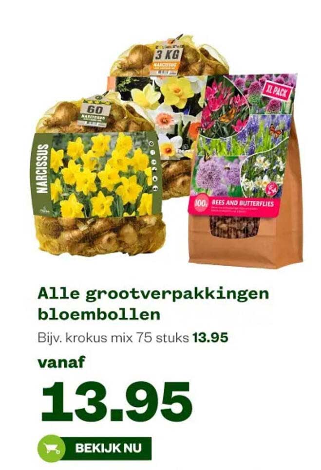 Alle grootverpakkingen bloembollen