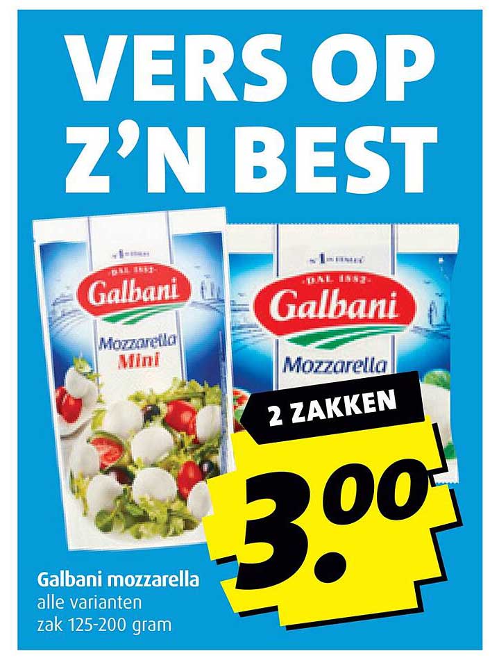 Galbani mozzarella alle varianten zak 125-200 gram