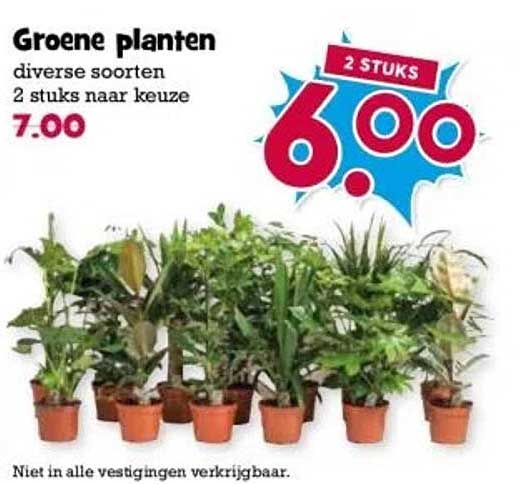 Groene planten