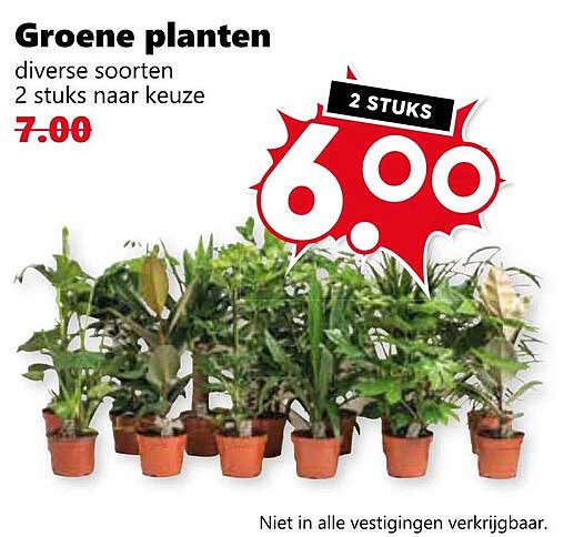 Groene planten