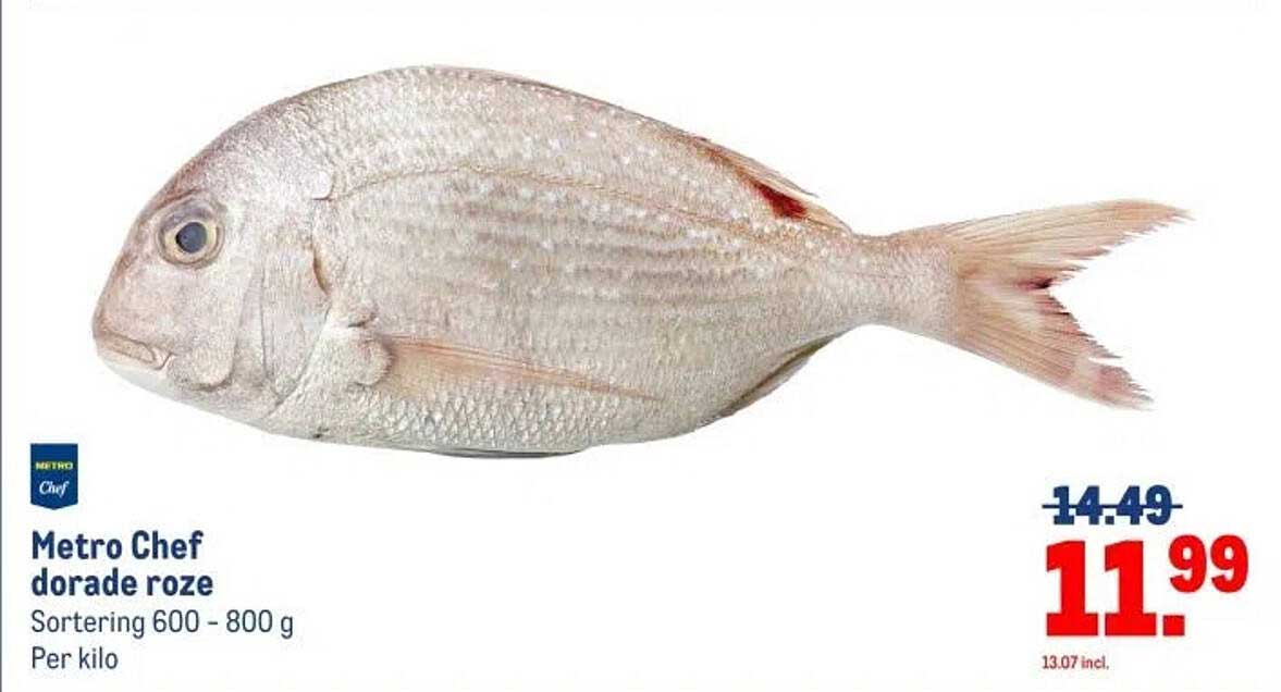 Metro Chef dorade rozen