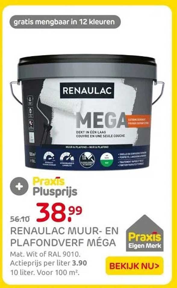 RENAULAC MUUR- EN PLAFONDVERF MÉGA