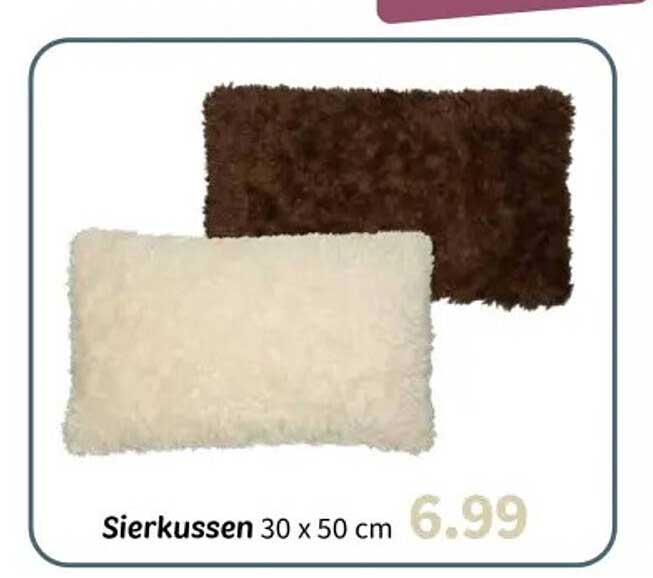 Sierkussen 30 x 50 cm