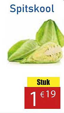 Spitskool