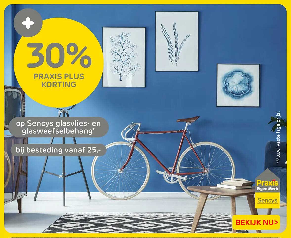 30% Praxis Plus korting op Sencys glasvlies- en glasweefselbehang* bij besteding vanaf 25,-
