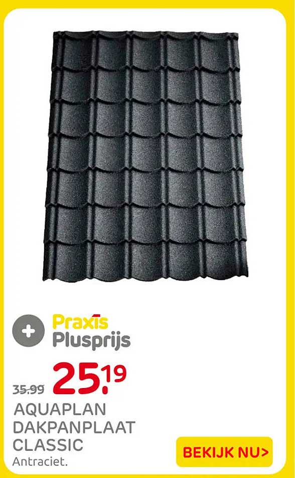 Aquaplan dakpanplaat classic - Antraciet. Praxis Plusprijs