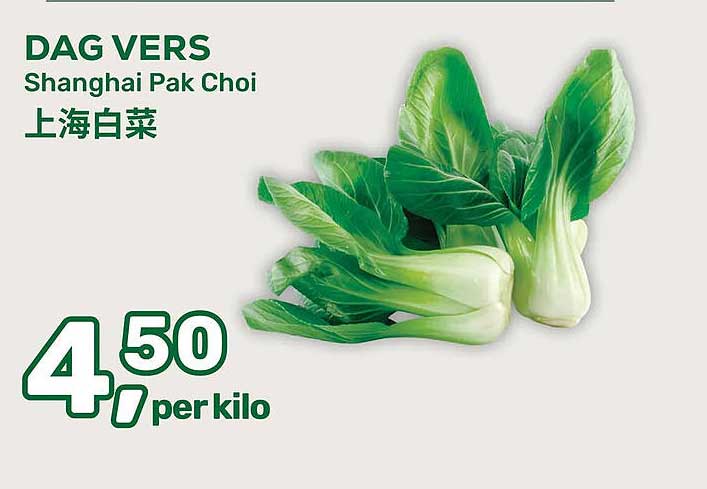 DAG VERS Shanghai Pak Choi 上海白菜